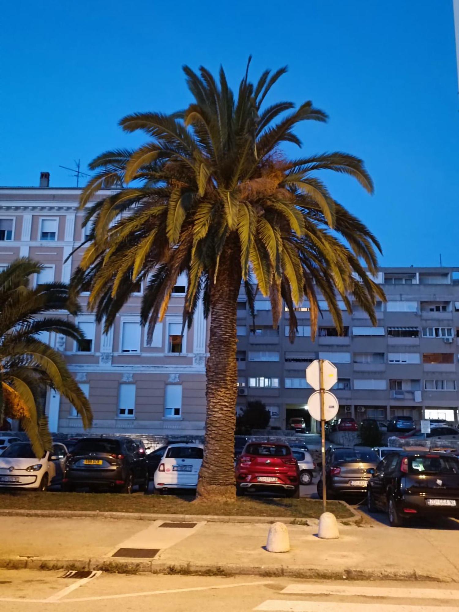Zadar Beach Apartments Exteriér fotografie